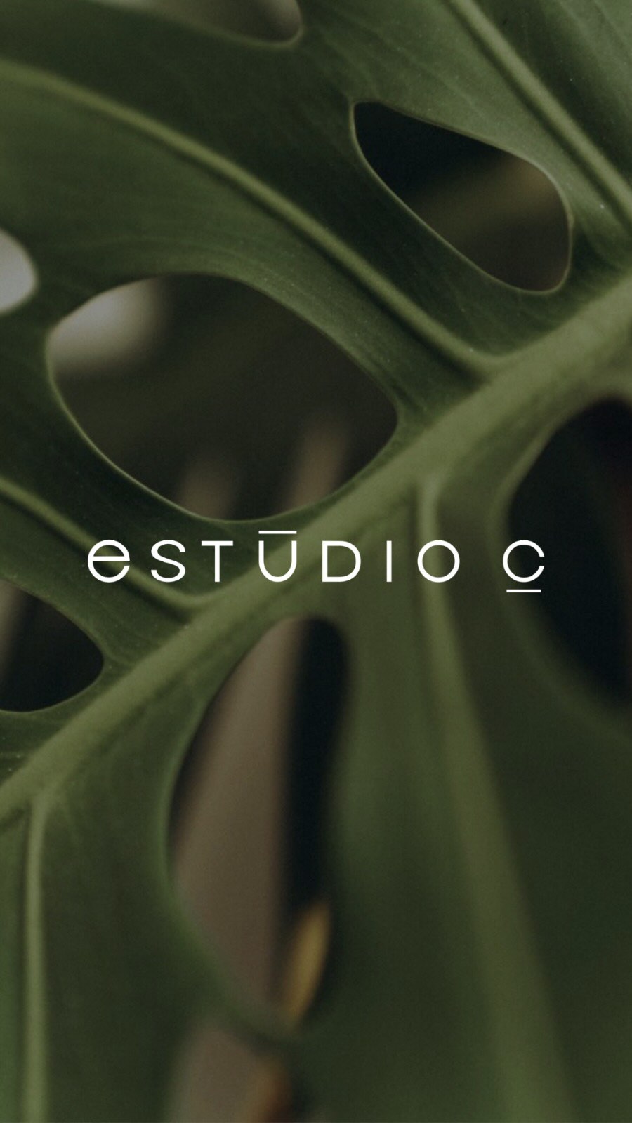 Estúdio C